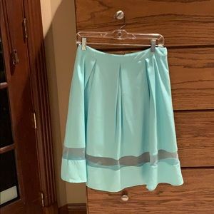 Sheer panel pastel green flare skirt
